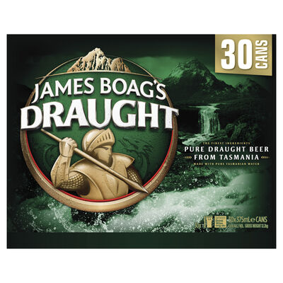 Boags Draught Block Can 375mL Pack 30 | Liquorland
