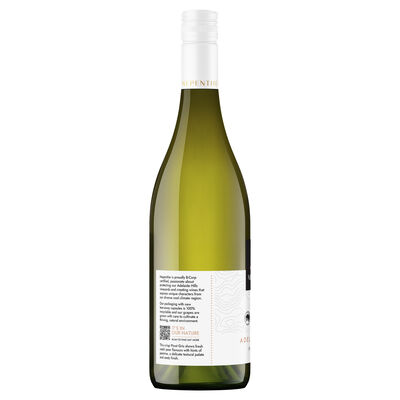 Nepenthe Elevation Pinot Gris 750mL Each | Liquorland