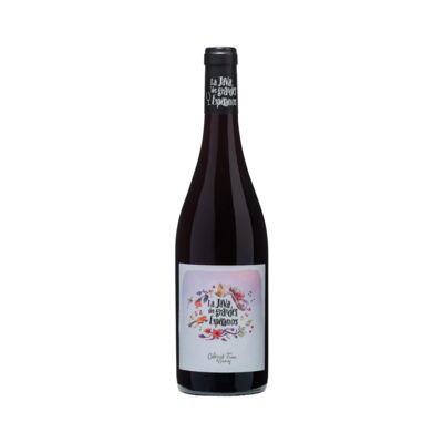 La Java Rouge Cab Franc Gamay 750mL Each | Liquorland