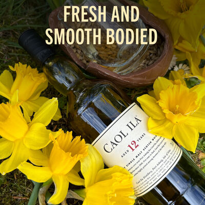 Caol Ila 12 Yo Scotch Whisky 700mL Each | Liquorland